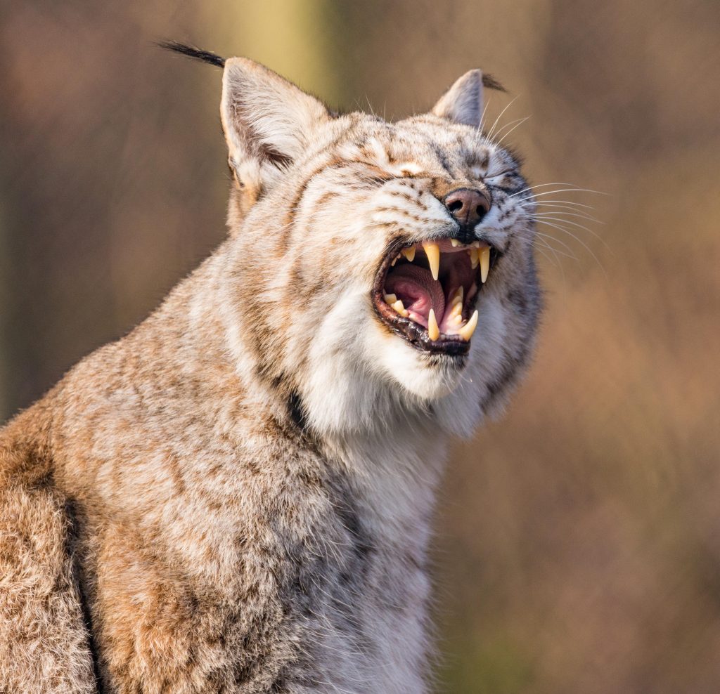 Jochens Wetterblog am 19.2.2026