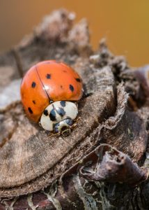 Jochens Wetterblog am 13.4.2017