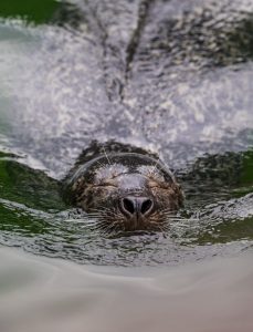 Jochens Wetterblog am 4.8.2017