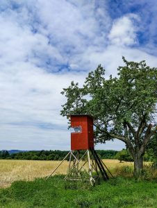 Jochens Wetterblog am 17.8.2017