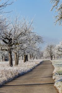 Jochens Wetterblog am 30.11.2017