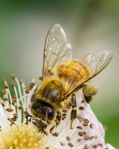 Jochens Wetterblog am 19.4.2018