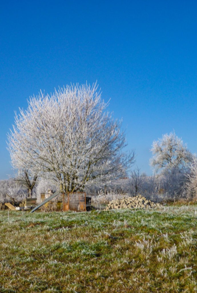 Jochens Wetterblog am 27.12.2018