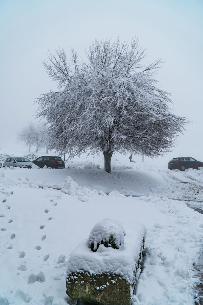 Jochens Wetterblog am 7.2.2019