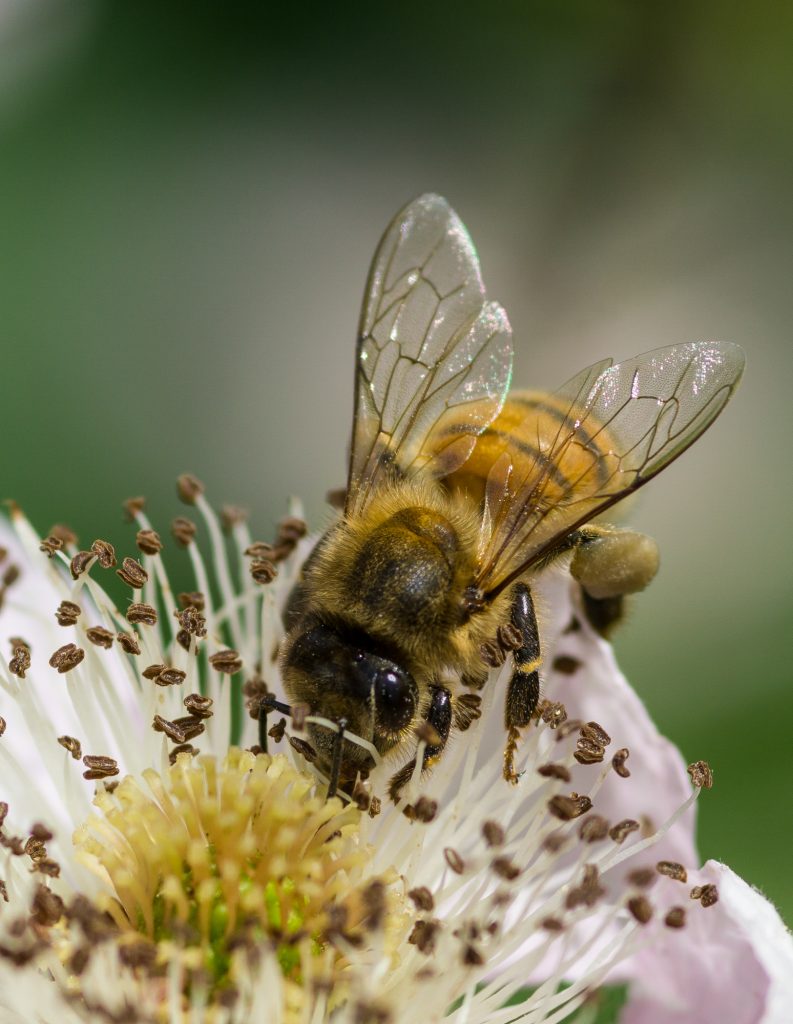 Jochens Wetterblog am 13.6.2019