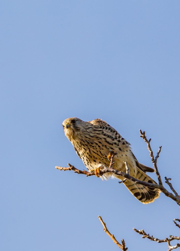 Jochens Wetterblog am 14.11.2019