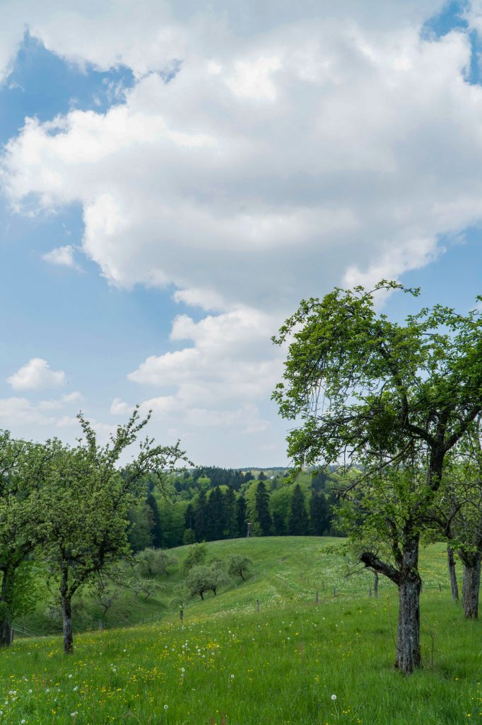 Jochens Wetterblog am 7.5.2020