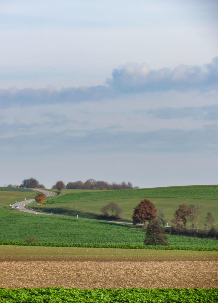 Jochens Wetterblog am 19.11.2020