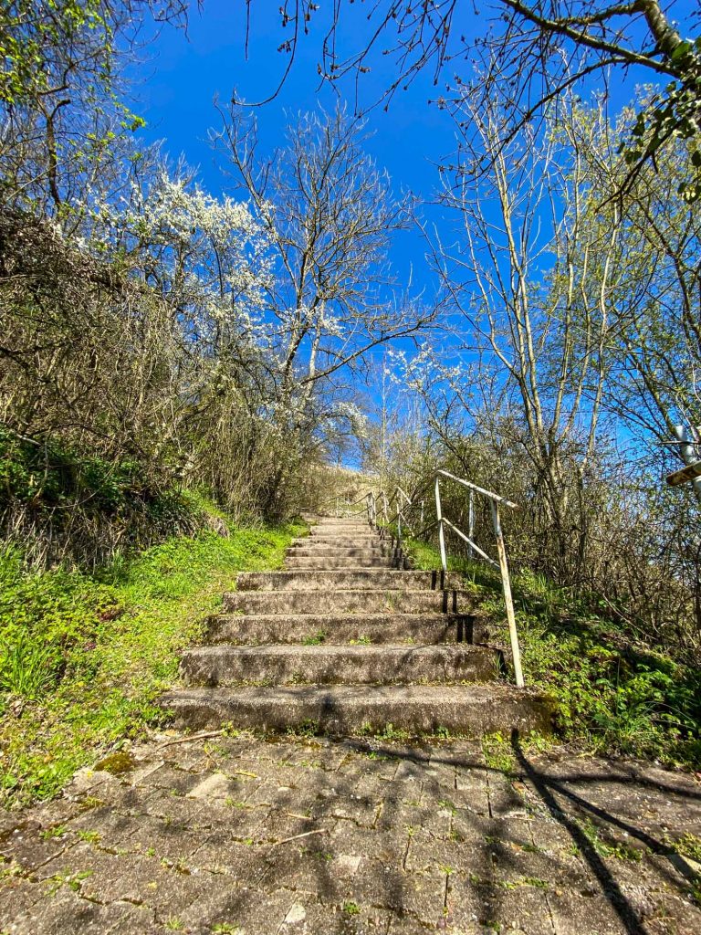 Jochens Wetterblog am 26.3.2026