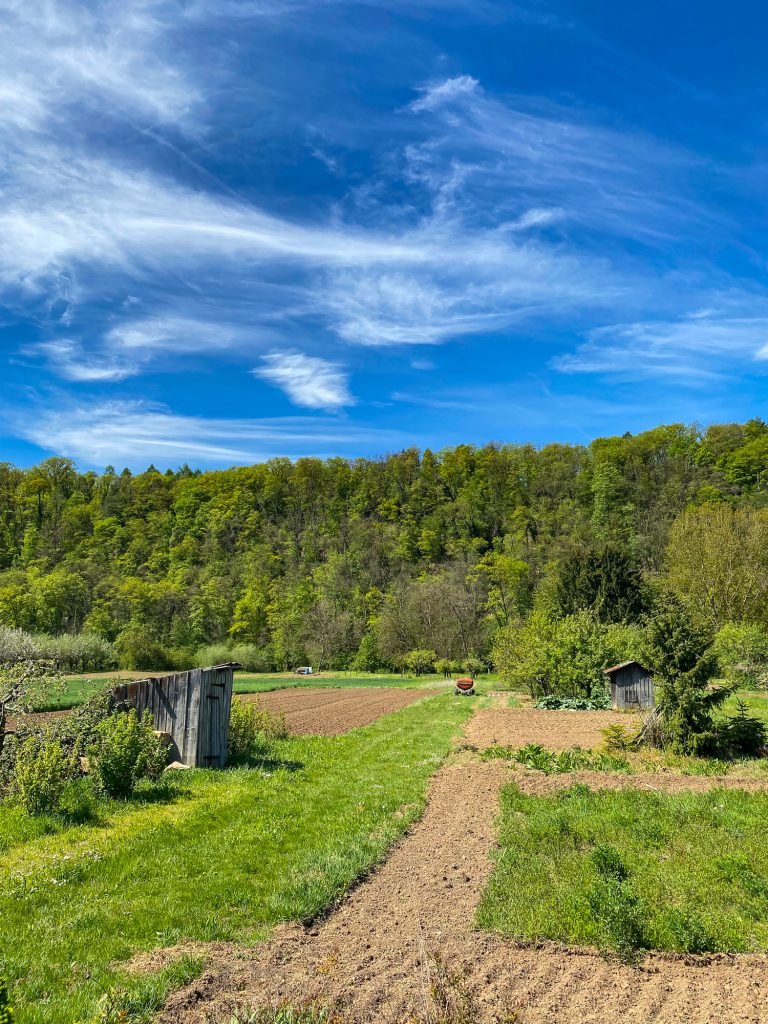 Jochens Wetterblog am 13.5.2021