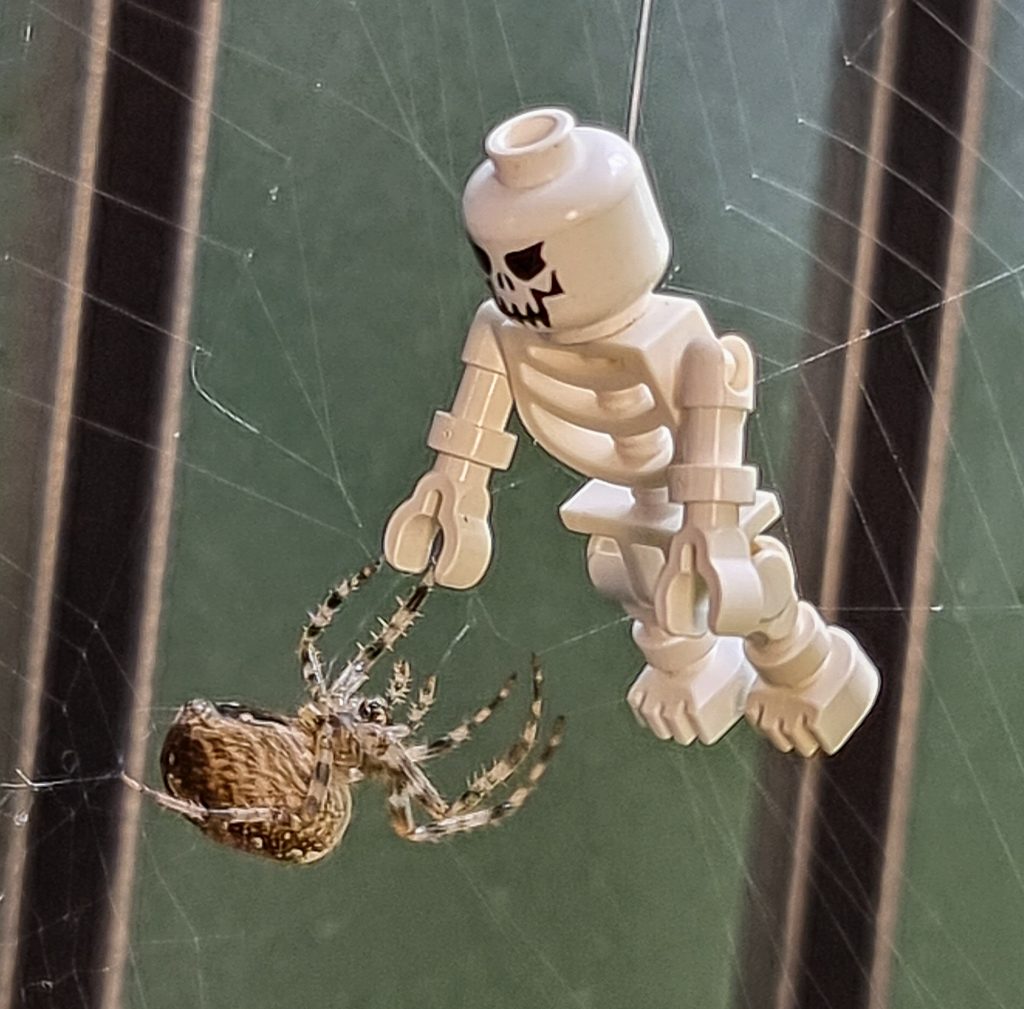 Spinne frisst Lego
