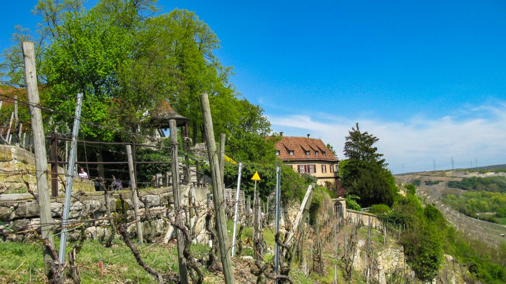 Ingersheim: Im Frühling