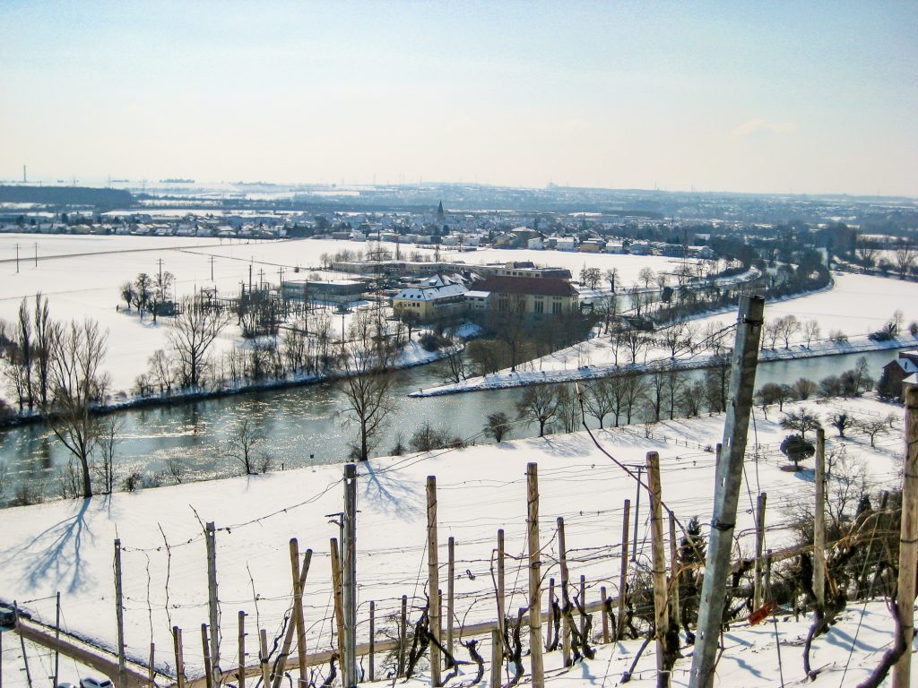 Ingersheim: im Winter