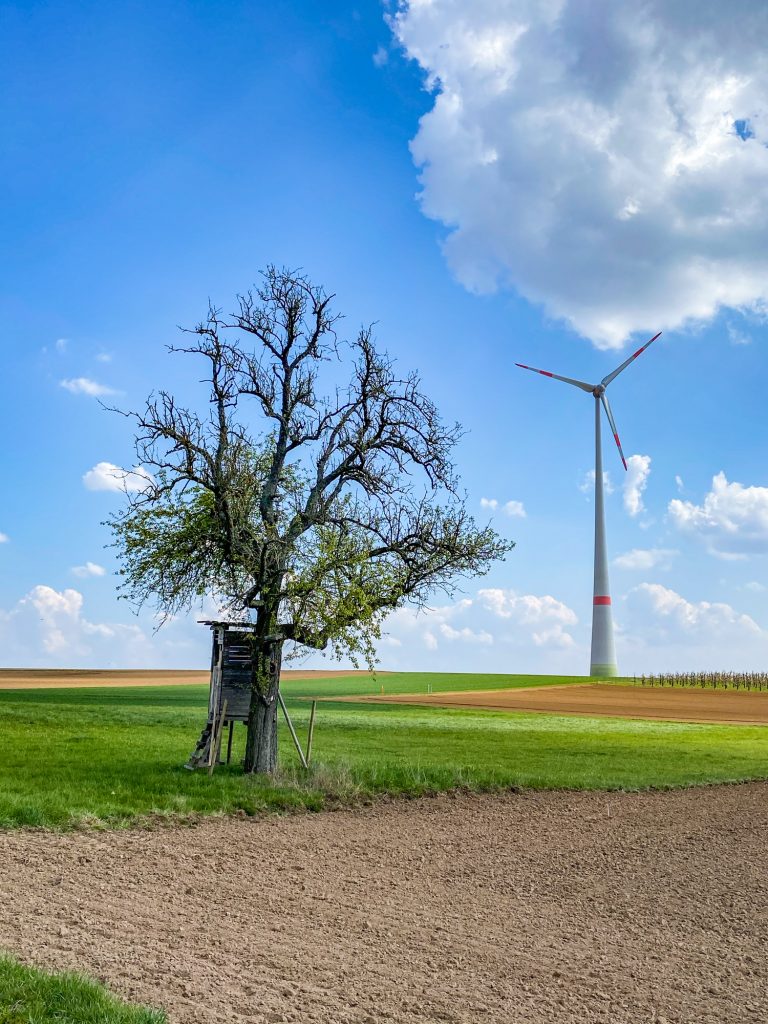 Ingersheim: Im Frühling