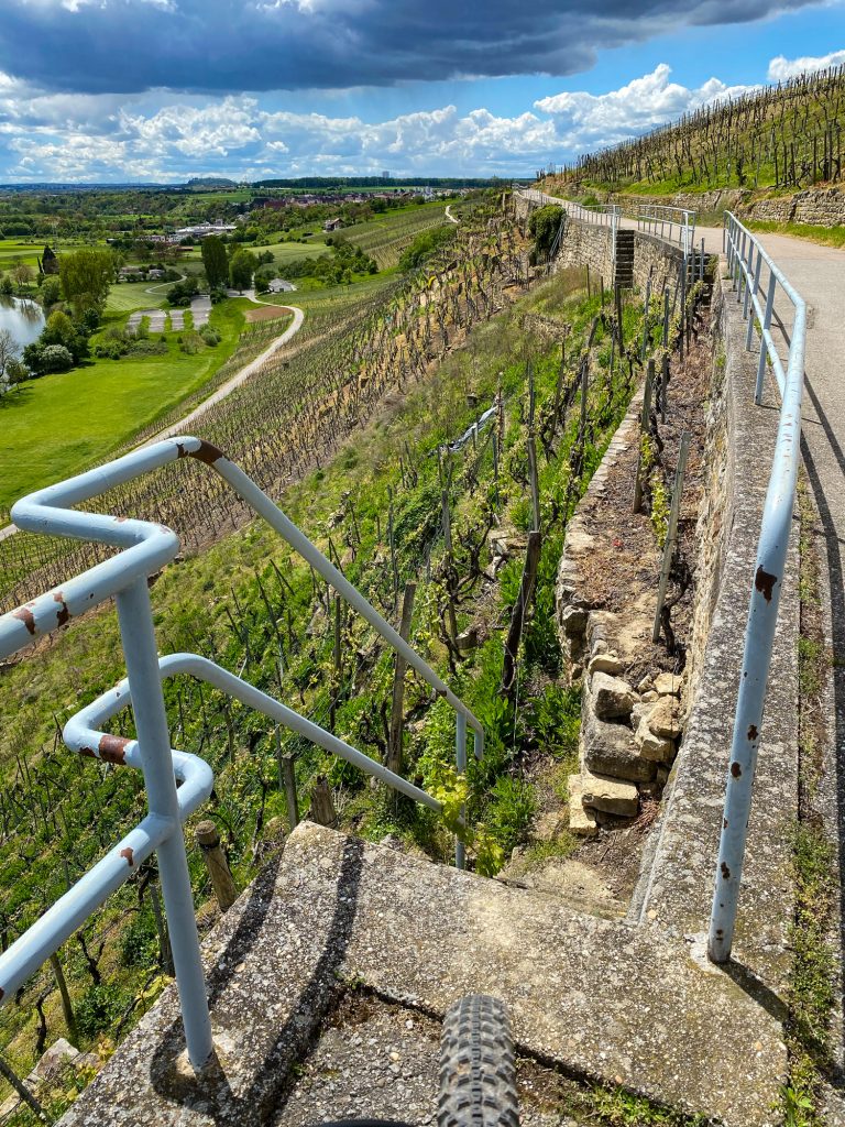 Ingersheim: Im Frühling