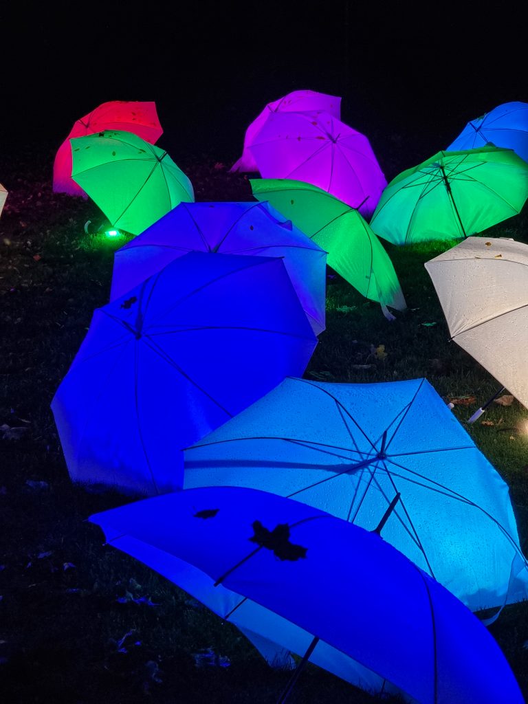 Lichtinstallation im Blühenden Barock Ludwigsburg