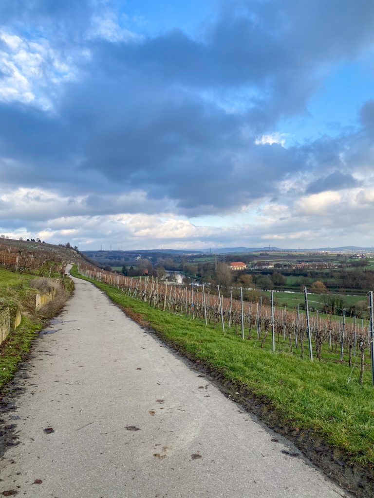 Weinbergweg in Ingersheim im November