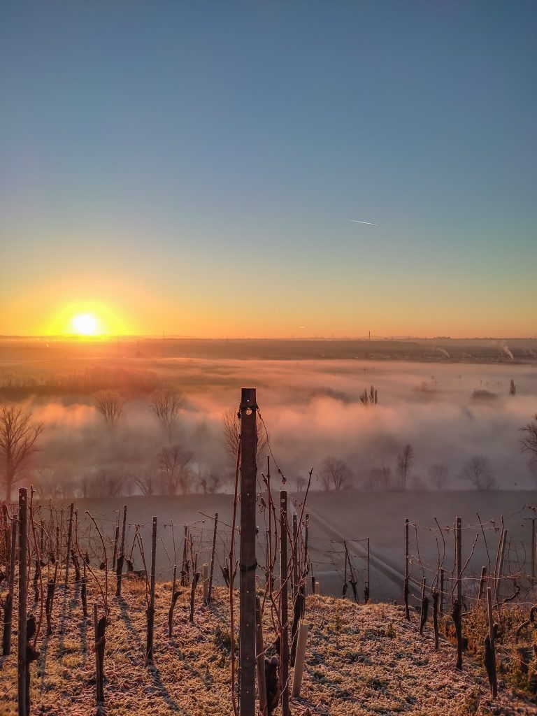 Die Sonne über dem Neckartal, Blick von Kleiningersheim