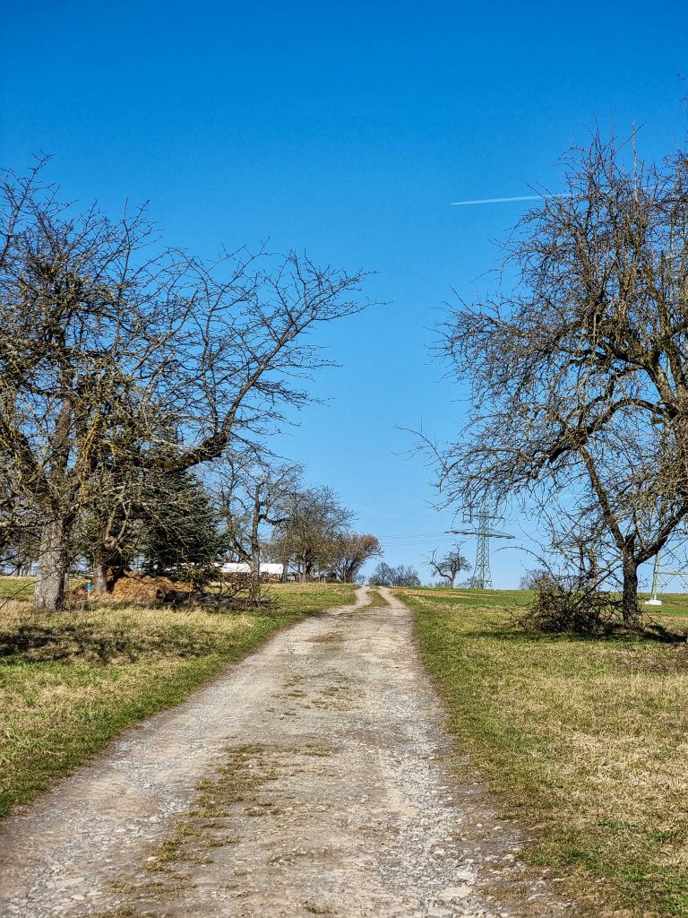 Jochens Wetterblog am 3.3.2022