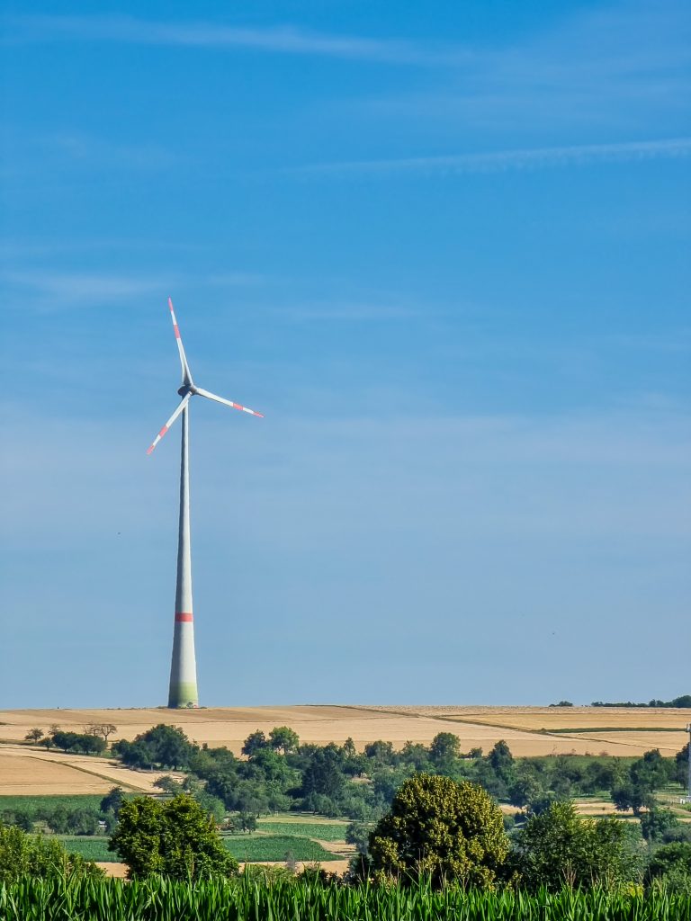 Ingersheimer Windrand im heißen Juli 2022