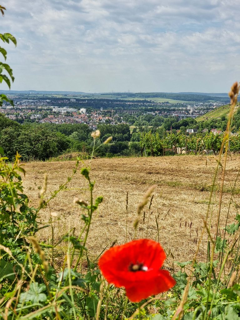 Jochens Wetterblog am 29.6.2023