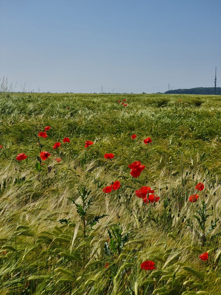 Jochens Wetterblog am 8.6.2023