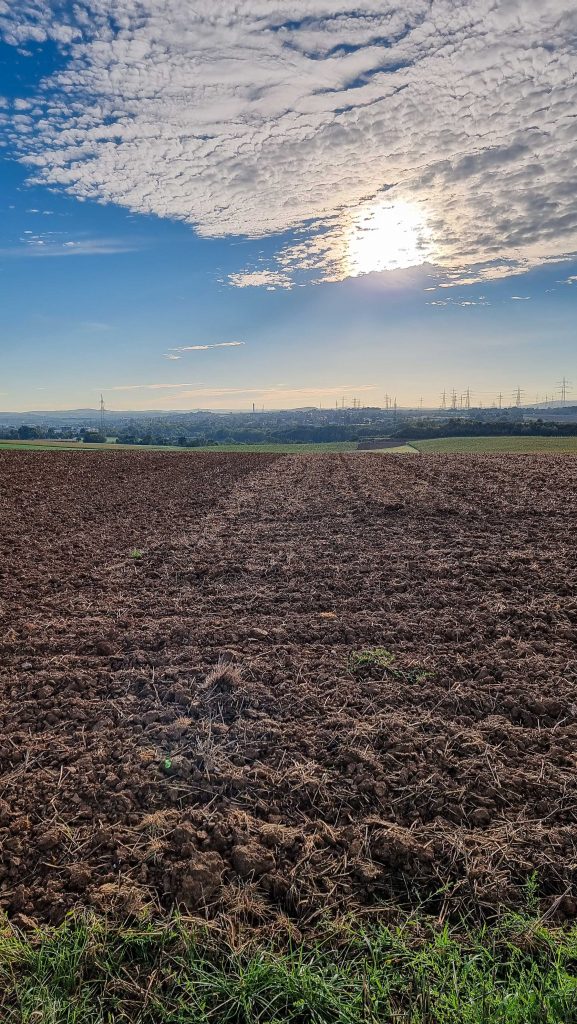 Die Felder sind abgeerntet, der Herbst ist da!