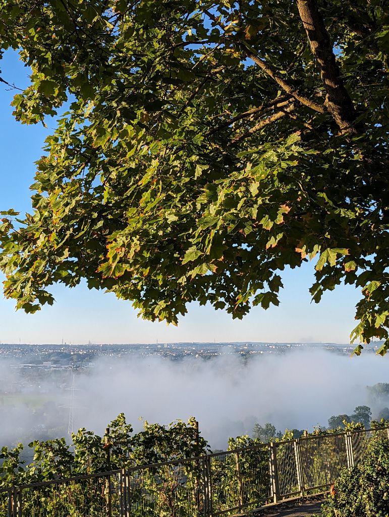 Herbstnebel über dem Neckartal unterhalb von Kleiningersheim