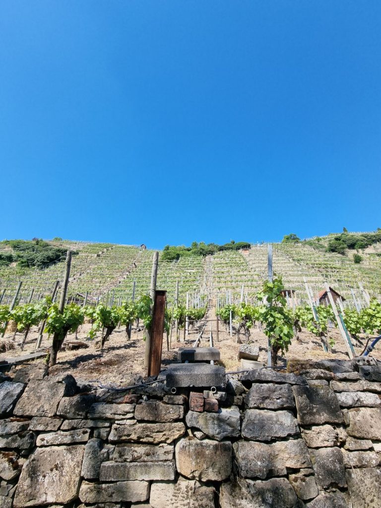 Jochens Wetterblog am 22.5.2025