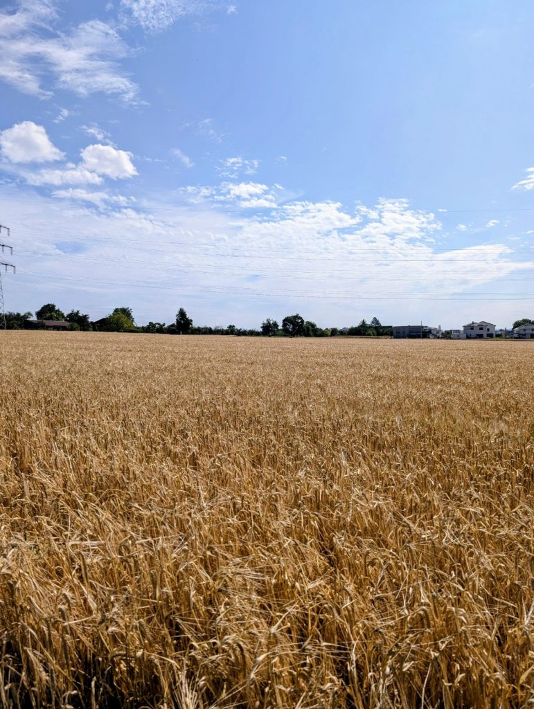 Jochens Wetterblog am 17.7.2025