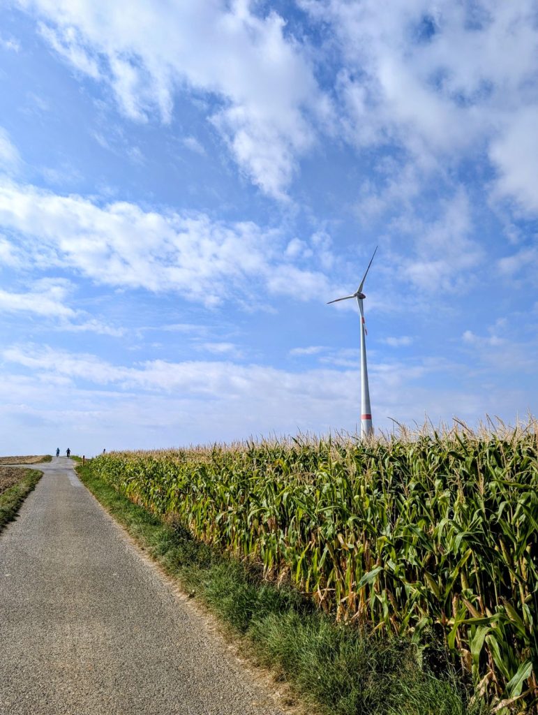 Jochens Wetterblog am 28.8.2025