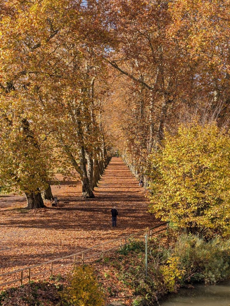 Jochens Wetterblog am 13.11.2025