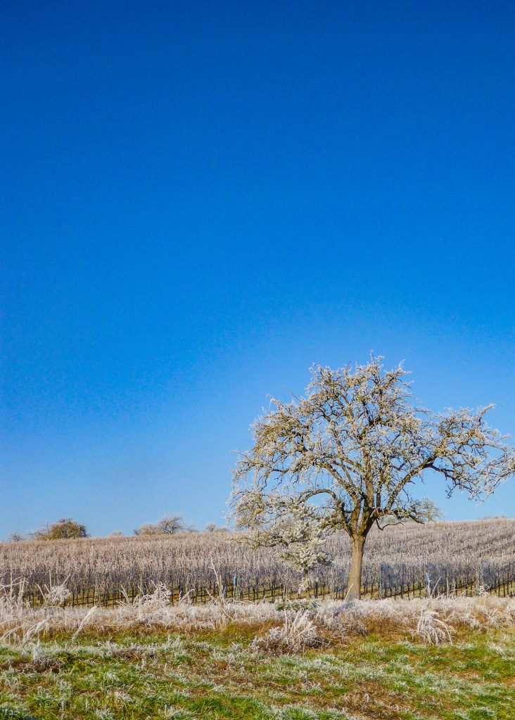 Jochens Wetterblog am 20.11.2025