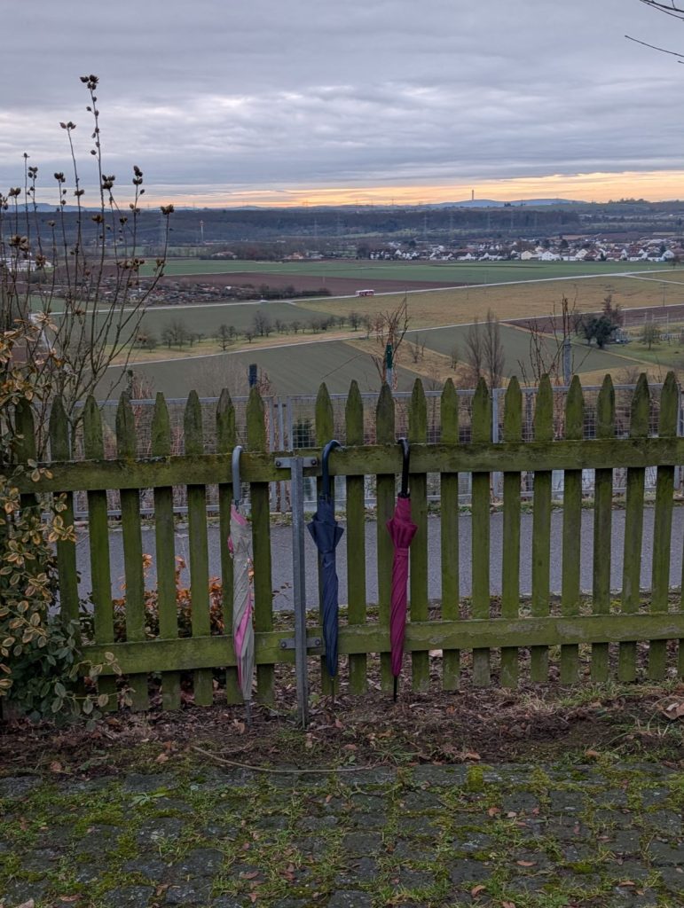 Jochens Wetterblog am 15.1.2026